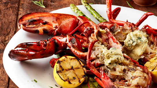 ParadiseCity_LASCALA