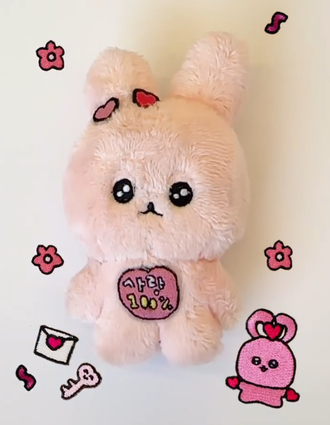 CHOEGOSIM_うさぎゴムシ